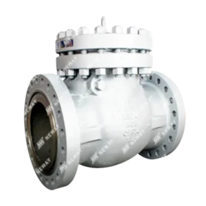 Valvula deretencion marca Neway