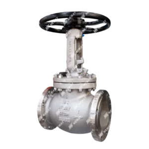 Valvula de globo marca Neway